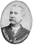 Madison Miner Walden
